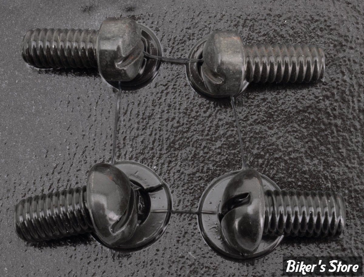 ECLATE R - PIECE N° 14 - KIT DE VISSERIE - OEM 2762 / 1300 - PARKERISÉ