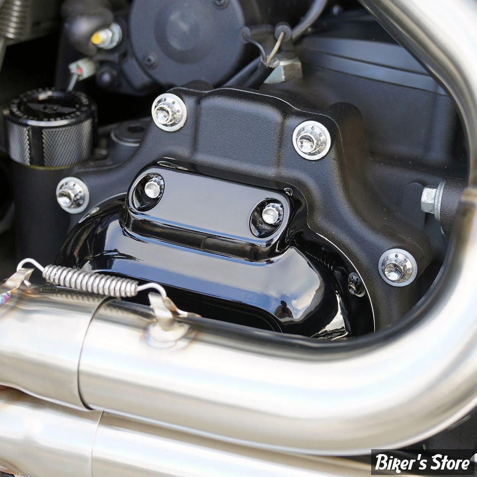 DOC A / PIÈCE N°102 - KIT VISSERIE DE CARTER LATERAL BOITE - TWINCAM 99/17 - ARLEN NESS - KIT VIS TITANE 12 POINTS - 12 POINTS - POLI - 300-703